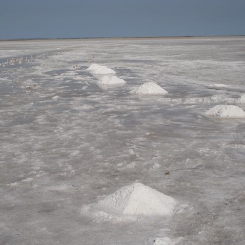 Ukraine: Kherson region: Sivash Украина, Херсонская область, Сиваш