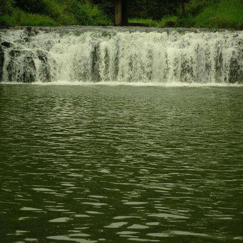 Australia: Queensland: Atherton Tablelands: Malanda